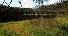 Jezioro Małe Łowne